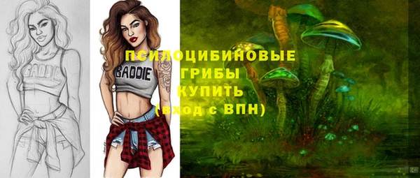 метадон Алексин