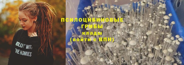 метадон Алексин